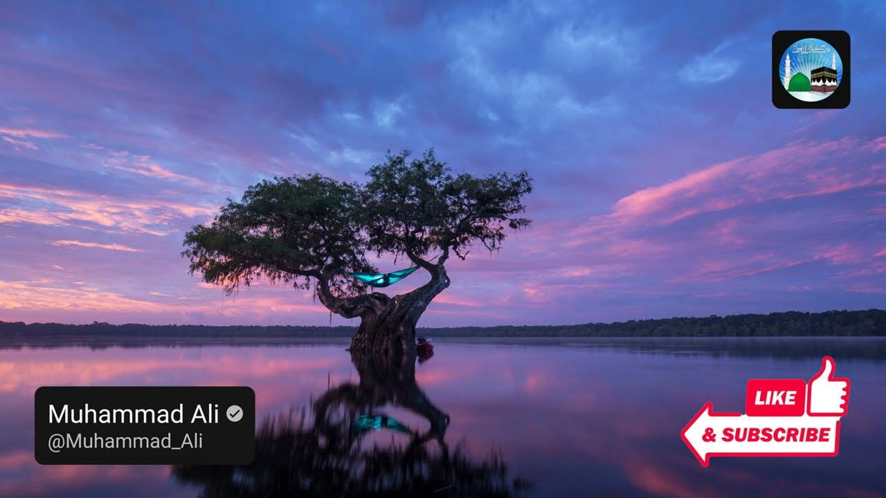 Surah Yasin (Yaseen) | Full With Arabic | Beautiful recitation | یس سورہ | EP177