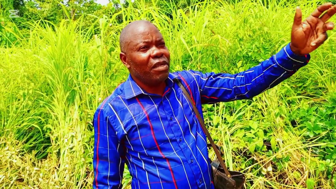 Visite de l'équipe du Président de la jeunesse de l'ESEA-NGOUNZISTE au site agricole de YANGA.