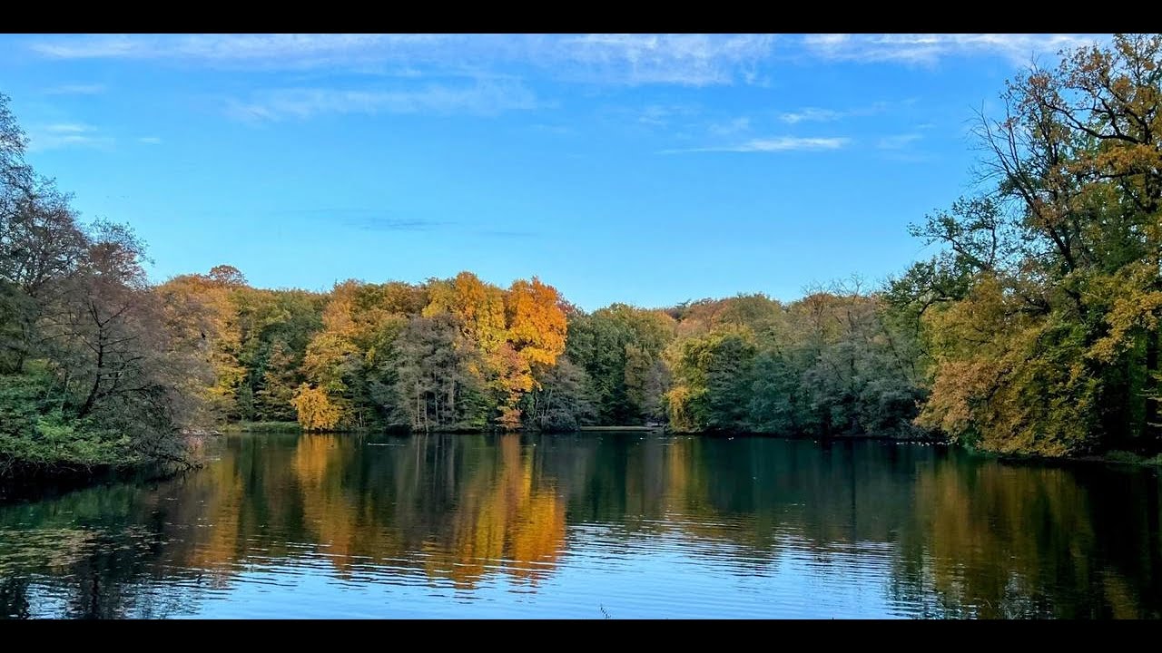 Explore Arnhem&rsquo;s Gem: A 10-Minutes walk in Sonsbeek Park 🌳