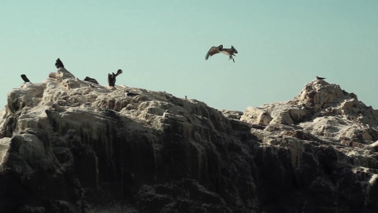 Vida Humana en el desierto: Caleta Camarones