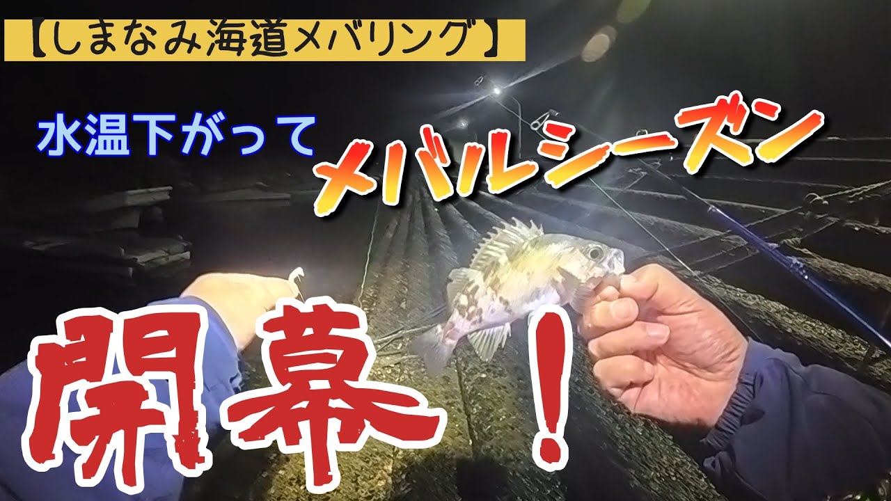 【しまなみ海道】メバリング調査に行ってきた！