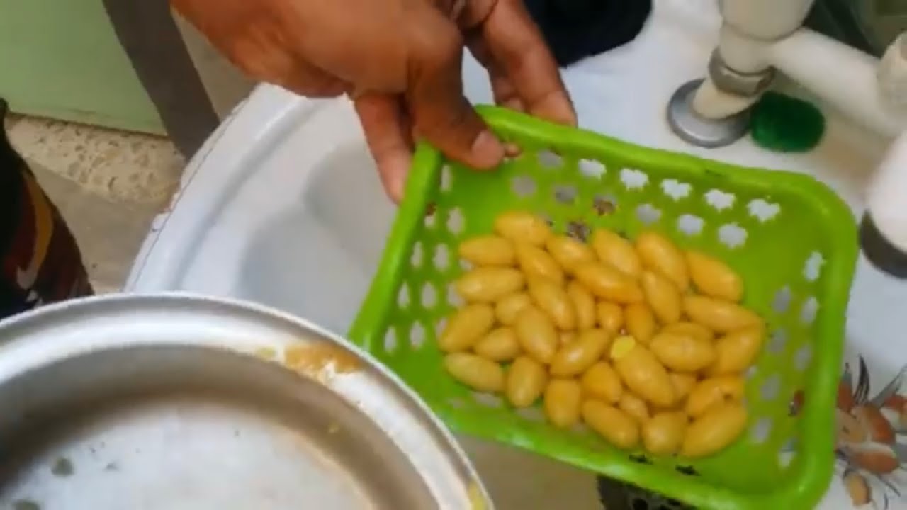 طريقه عمل عجينه لصيد جميع انواع السمك وخاصه. سمك الكارب (السمتي)