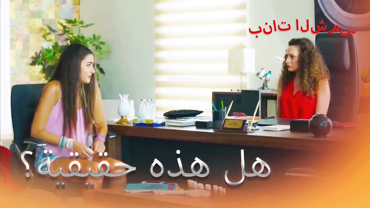 لقد قام بتفصيل ما اختبره بنات الشمس الجزء 11