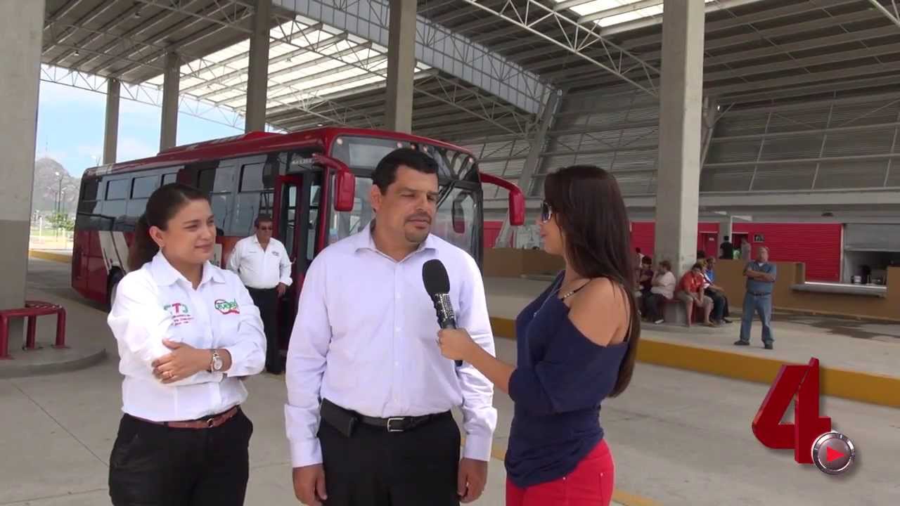ViveBus Chihuahua