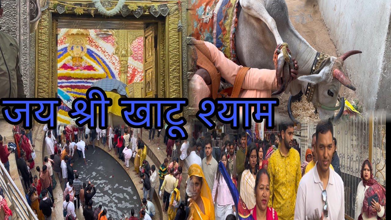 Vlog no… ( 83 ) jai shree khatu shyam ji ke darshan 🙏