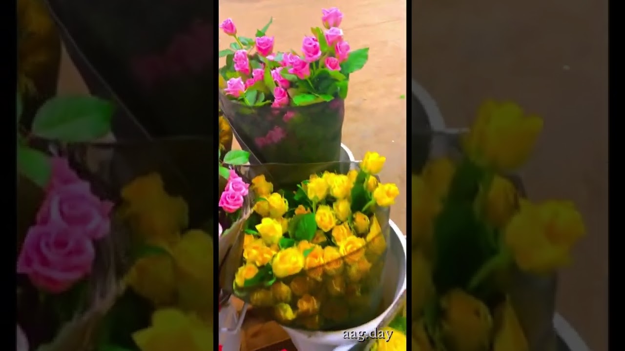 مزرعة استرا تبوك على سناب العرب