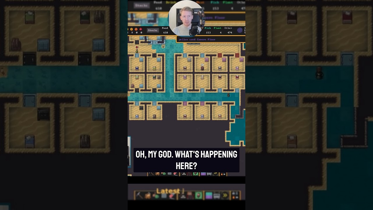 The Flood | Dwarf Fortress