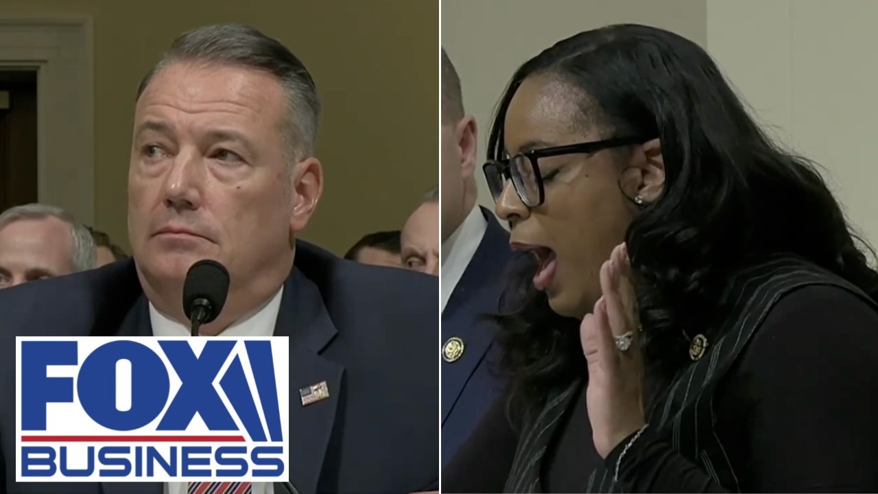 WATCH: Dems, Trump border team SPAR at immigration hearing
