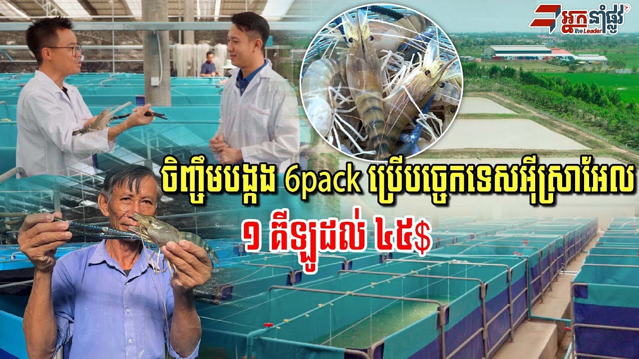 ប្រើបច្ចេកទេសអ៊ីស្រាអែល ចិញ្ចឹមបង្កង6Pack បើចិញ្ចឹមត្រូវ១គីឡូជាង៤៥$