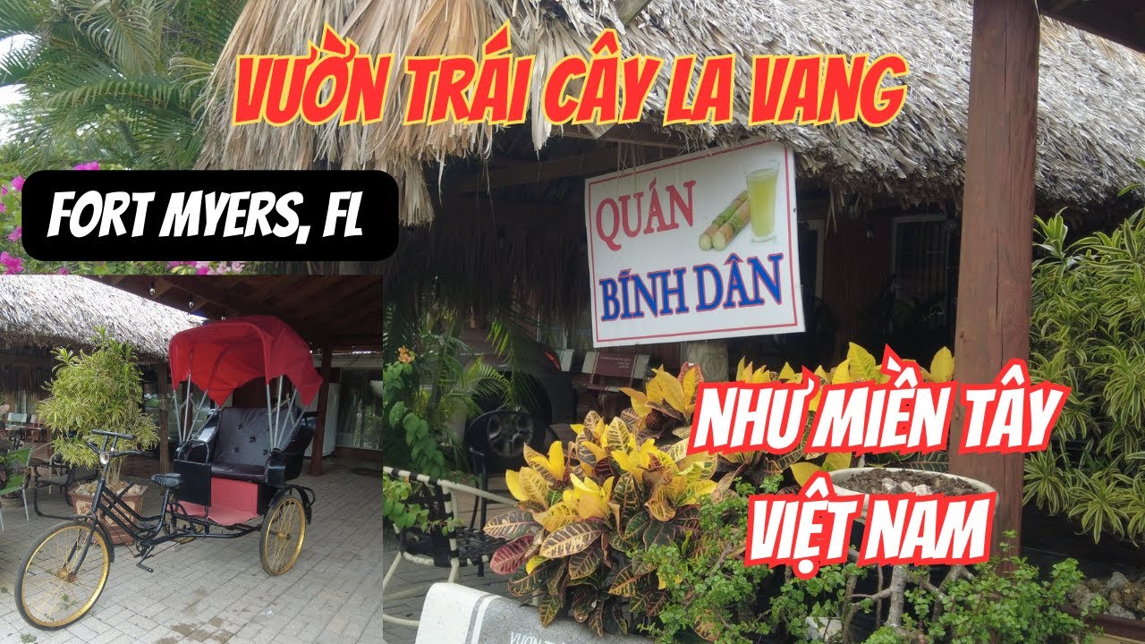 Vườn Trái Cây La Vang ở FLORIDA mà Như ở Miền Tây Việt Nam | Nhiều Du Khách Đến Tham Quan