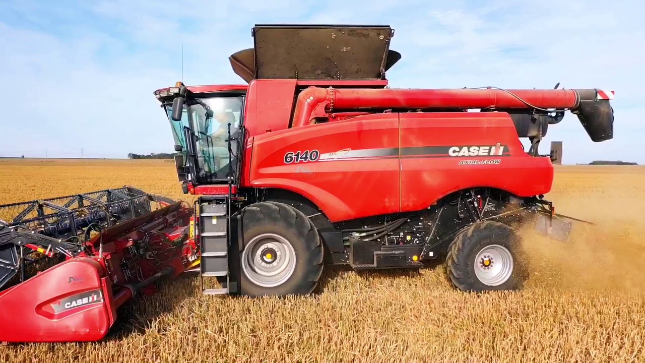 Case IH 6140 récolte du millet 2019