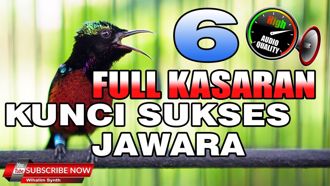 🔴 KOMPILASI MASTERAN KONIN FULL ISIAN KUNCI SUKSES KONIN JUARA COCOK UNTUK MASTERAN KOLIBRI NINJA