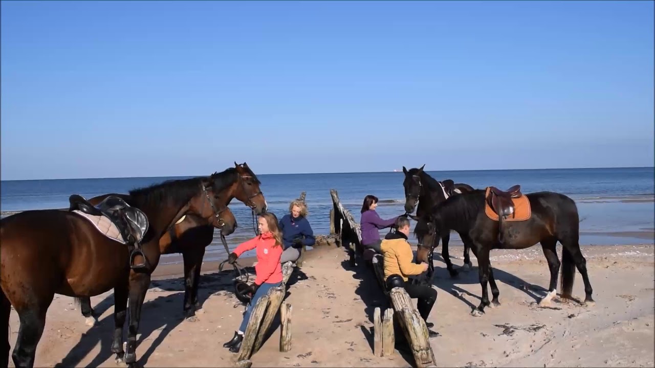 Horseback Adventures in Kurzeme, Latvia