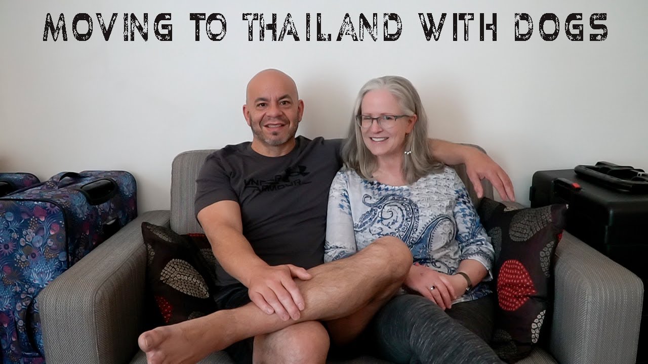 Moving to Thailand with Dogs | ASQ Park Plaza Soi 18 Hotel Bangkok