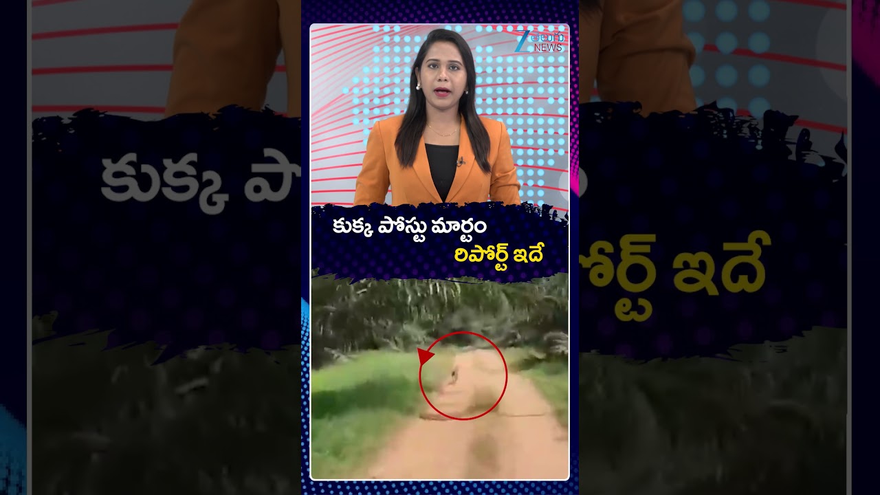 Tuni 2 Year Girl Missing Case Updates | Dog Post-Mortem Report | కుక్క పోస్టు మార్టం రిపోర్ట్ ఇదే |