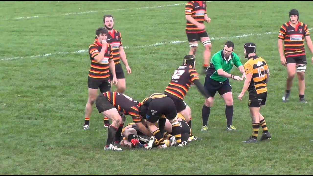 Bridgwater & Albion RFC vs Thornbury RFC (Nov 2015)