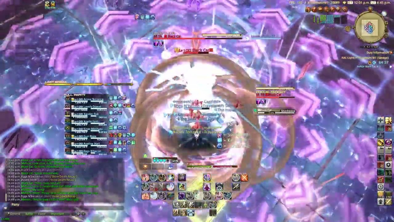 FF14 Arcadion Savage 1 clear PCT PoV