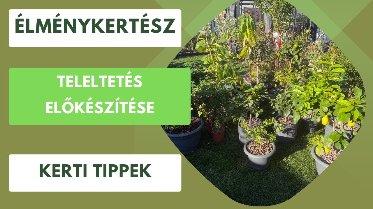 Teleltet&eacute;s előtti tippek fagy&eacute;rz&eacute;keny n&ouml;v&eacute;nyekhez!🌺🍋