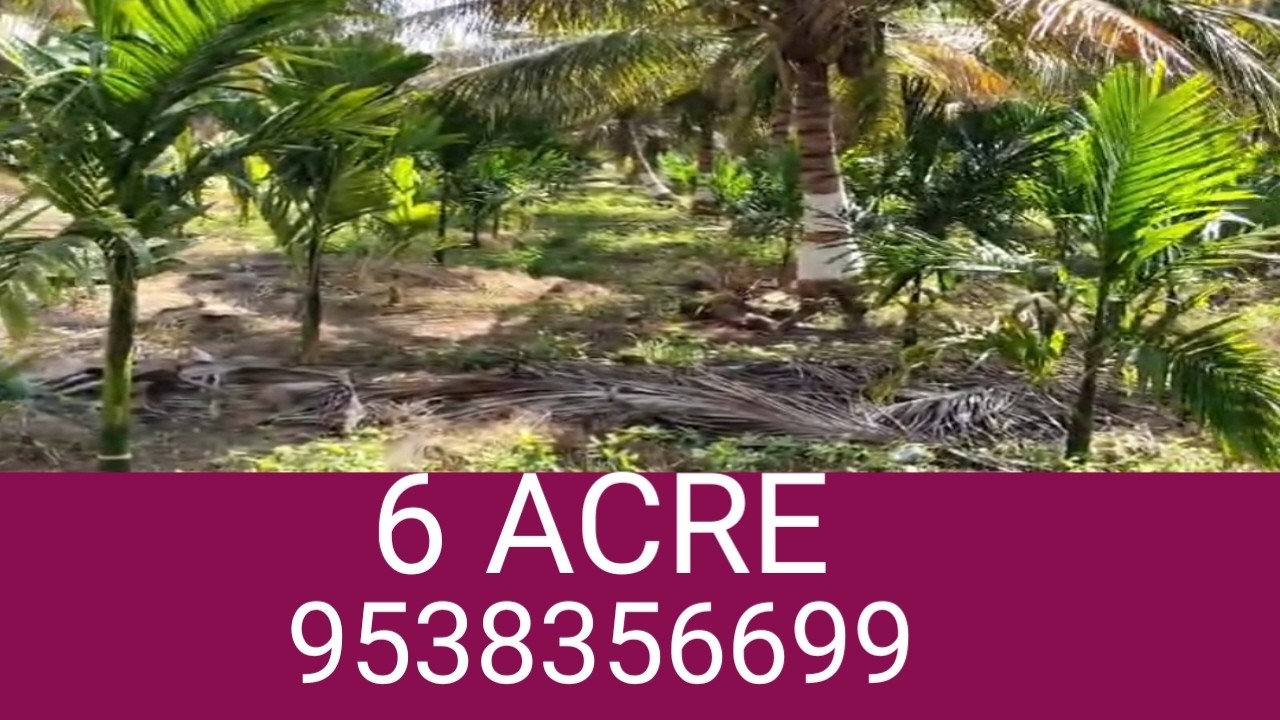 Vz) 6 акров | Откройте для себя фирменные сельскохозяйственные угодья в непосредственной близости...