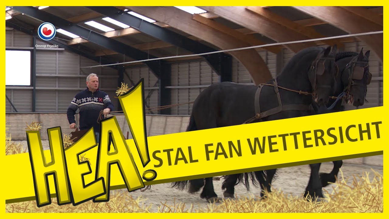 Stal Fan Wettersicht | HEA!