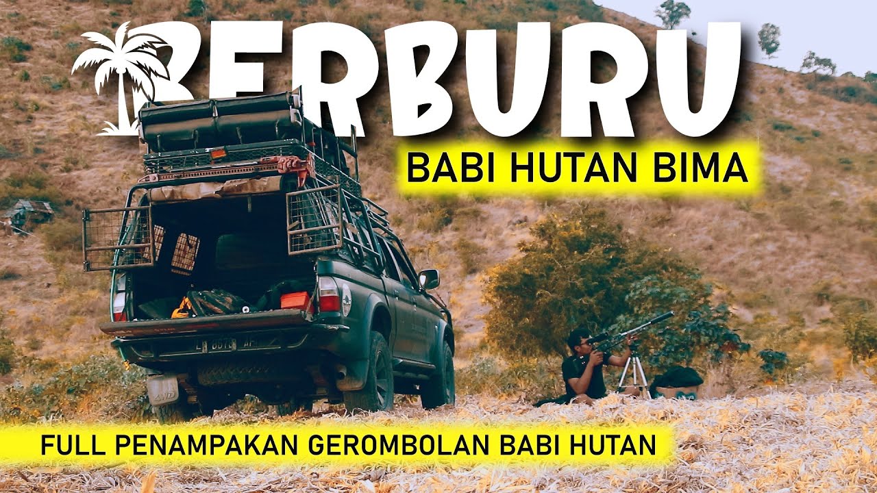 Berburu Hama Babi Hutan di BIMA NTB | FULL Gerombolan Dan Rombongan