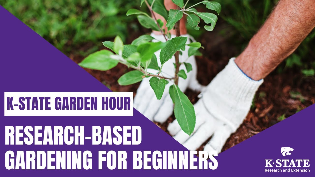 K-State Garden Hour Webinar Series: Sowing Success: Research-Based Gardening for Beginners