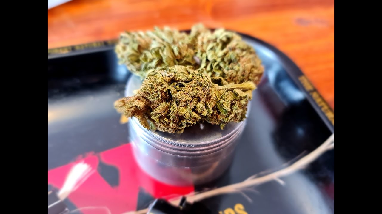 Paradise CBD - Harlequin CBD Flower Review