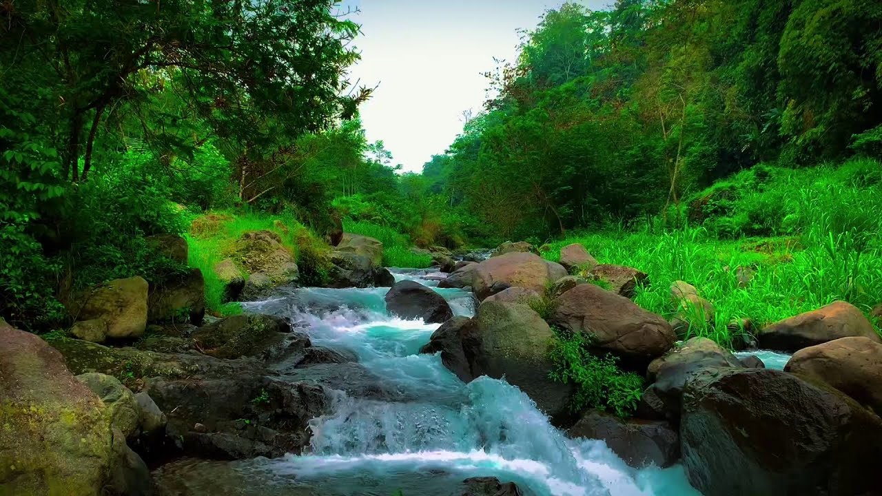 RELAXING STREAM SOUNDS SOFT RUNNING WATER FOR STRESS RELIEF