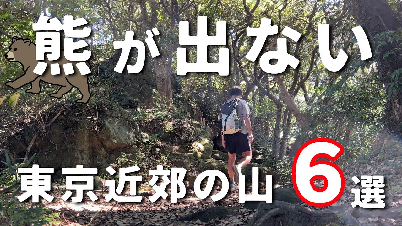 【初心者も安心】熊が出ない東京近郊の登山６選