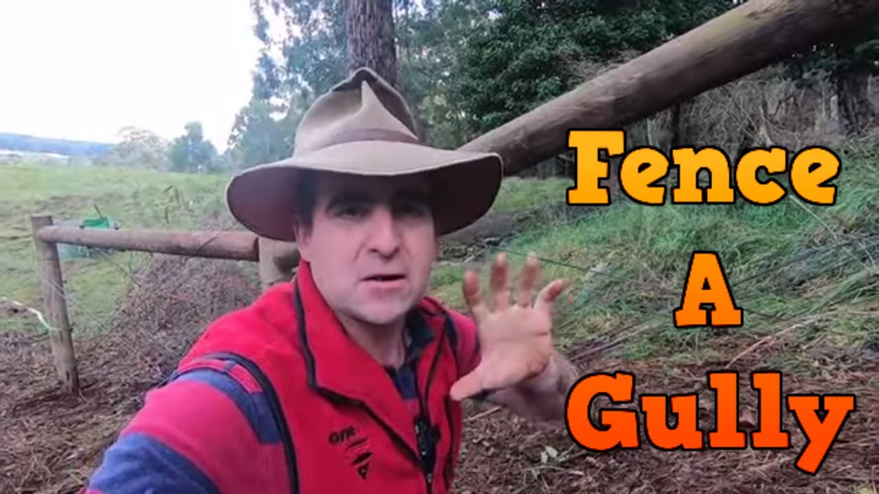 How to Fence a Gully