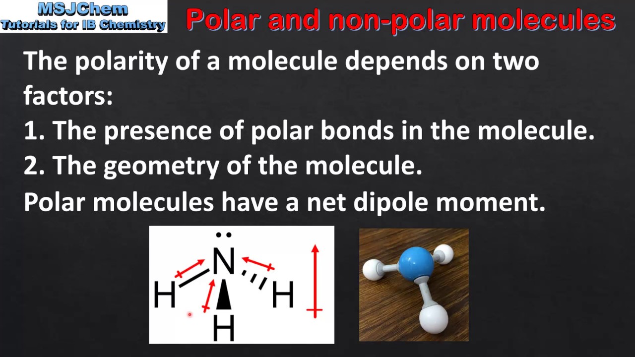 S2.2.6 Polar and non-polar molecules