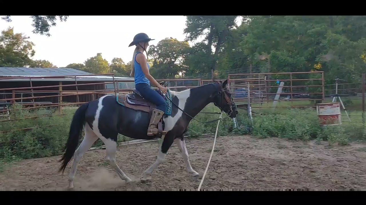 Sitting and rising trot riding exercises - Adult Western riding lesson