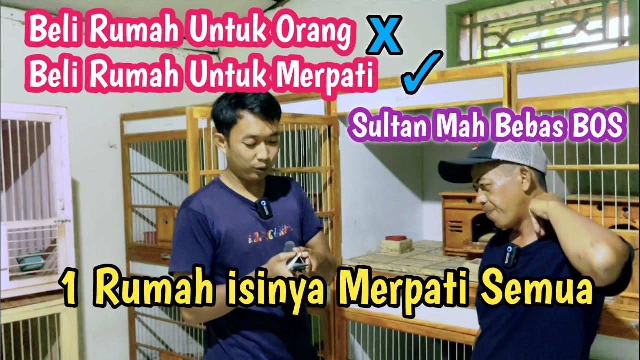 WooW Beli Rumah Untuk Kandang Burung Merpati‼️