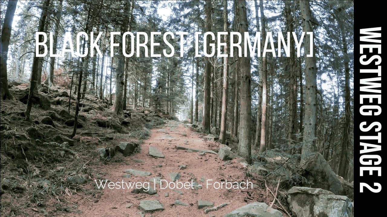 Westweg | Stage 2 | Hiking from Dobel to Forbach | E1 | Black Forest [Germany] | 4K