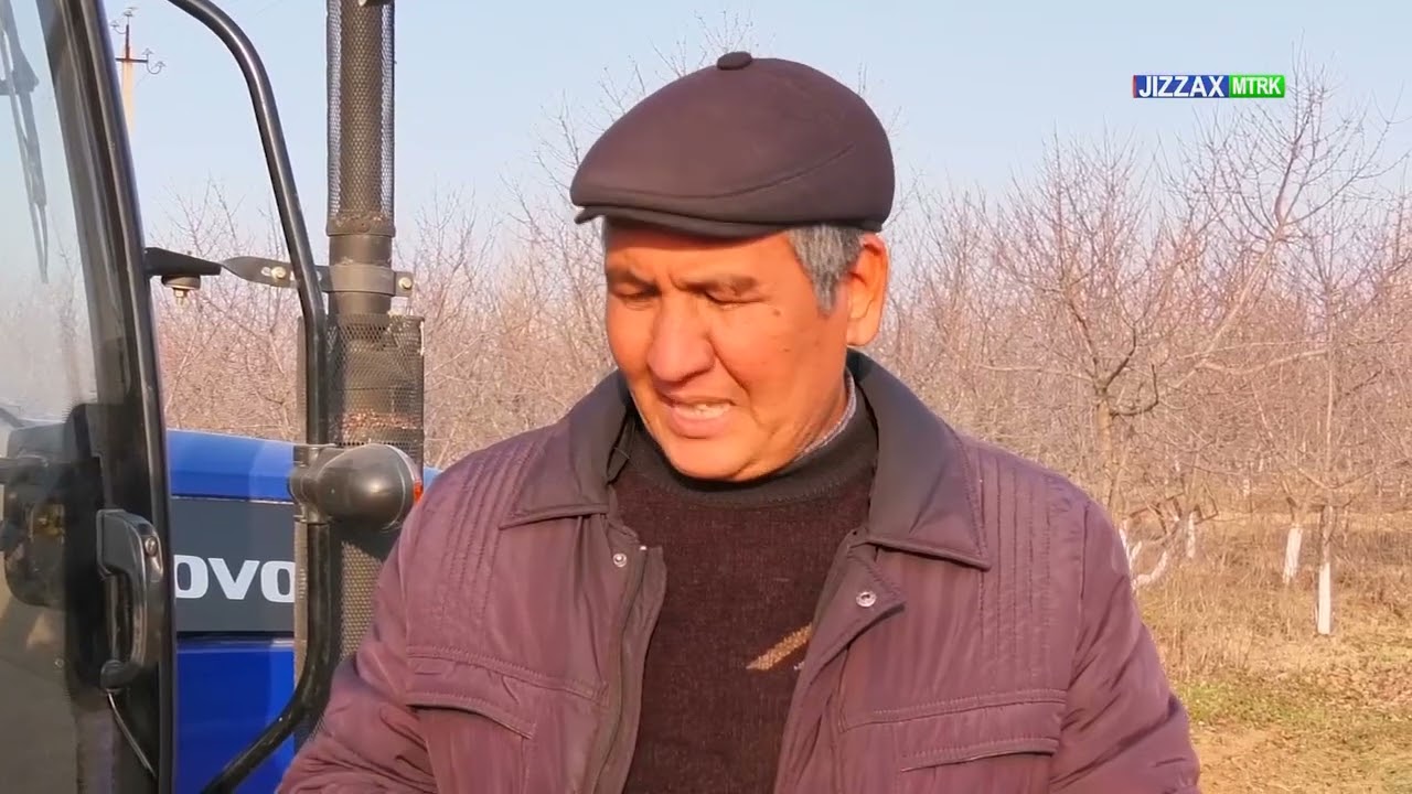 Zarbdor tumanida tomorqalarda ishlash va samaradorlikgi oshirilmoqda
