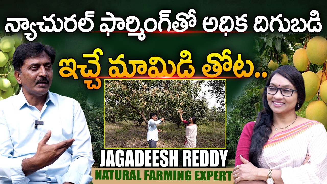 Jagadeesh Reddy Natural Farming Exclusive Interview | Journalist Anjali |@Signature Studios