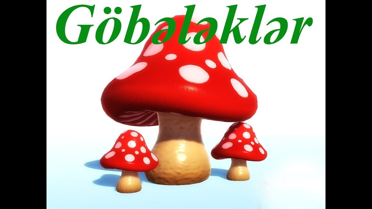 Ushaq Mahnilari: Gobelekler