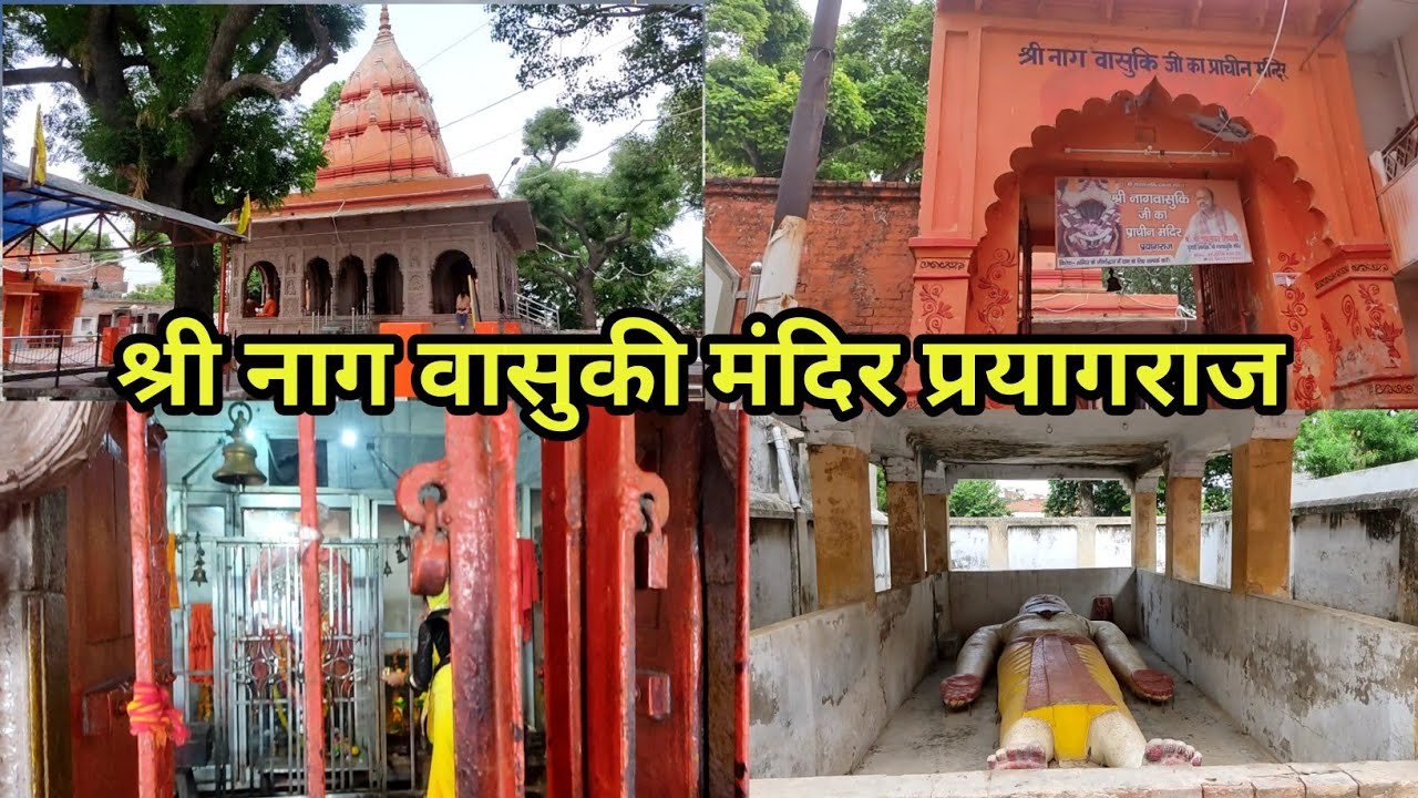 श्री नाग वासुकी मंदिर // दारागंज प्रयागराज //#famoustemples #vlog