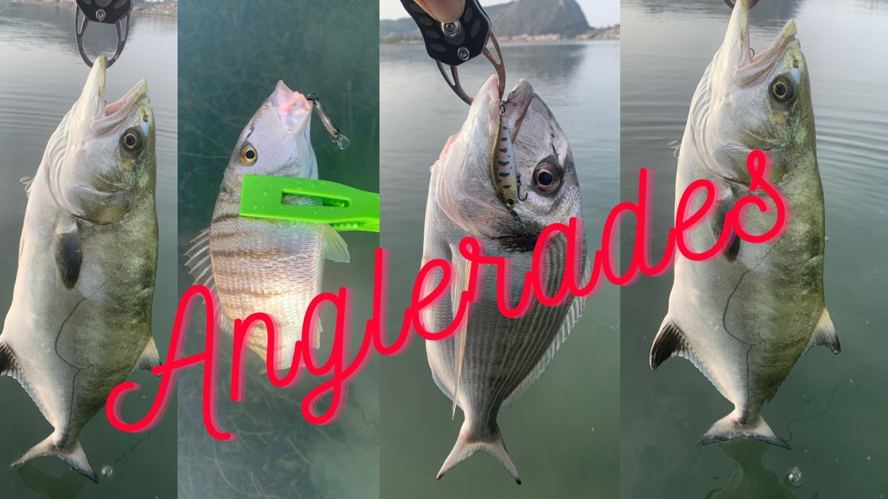 🎣Wading LRF Και Τα Φρένα Πήραν 🔥🔥 & C+R. #Anglerades #lrf #hrf #fishing #spinning #ψάρεμα #c&r
