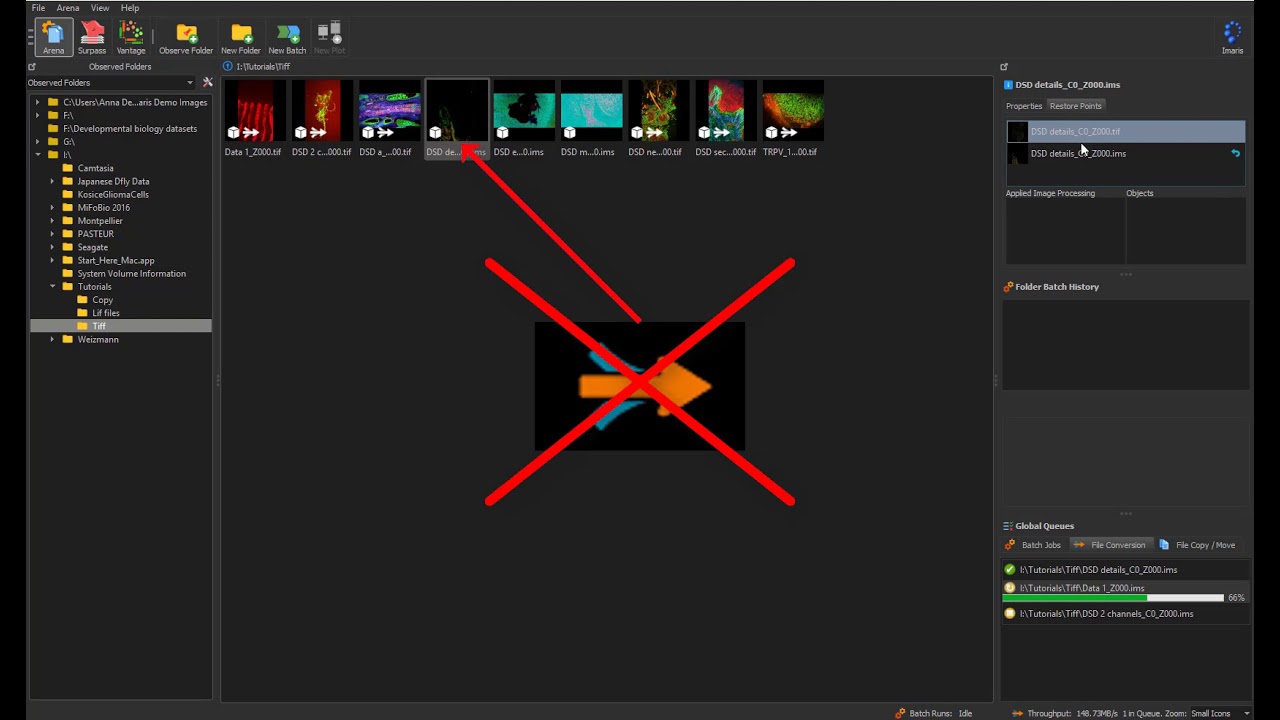 Microscopy Image Browser - New Arena for Imaris 9.3 | Tutorial