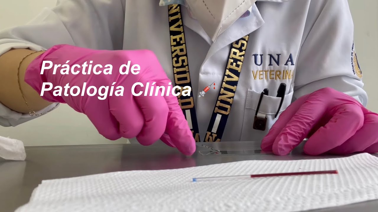 VLOG de mi práctica de 🦆 clínica | Medicina Veterinaria en la UNAM