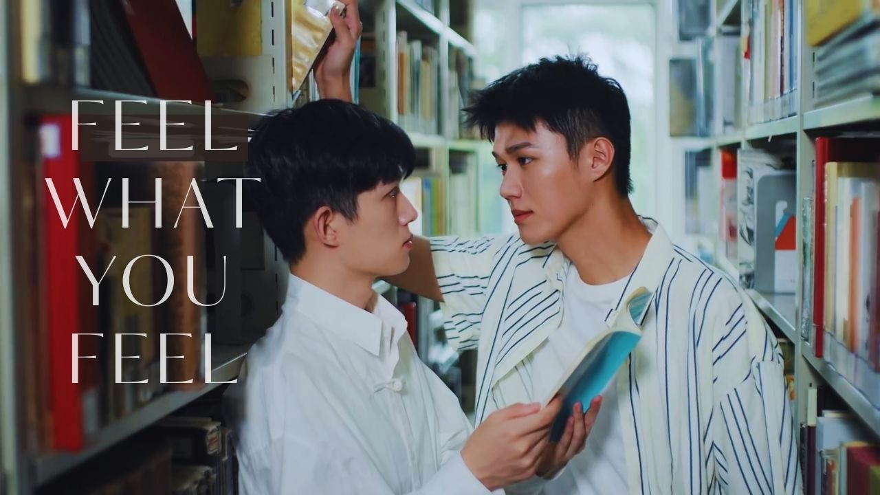 NEW Chinese BL 🎀 Feel What You Feel BL Series 💞 Opposites Attract