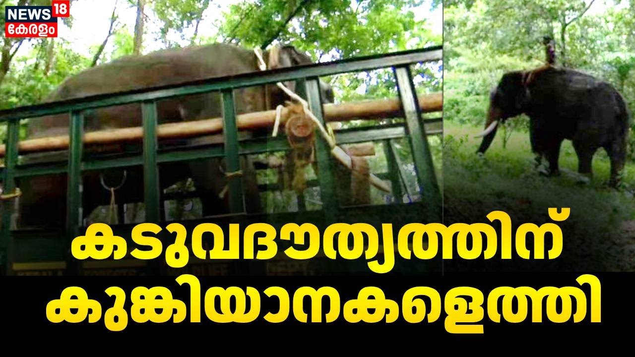 കടുവദൗത്യത്തിന് കുങ്കിയാനകളെത്തി | Malappuram Tiger Attack | Atakakundu | Kalikavu | Gafur