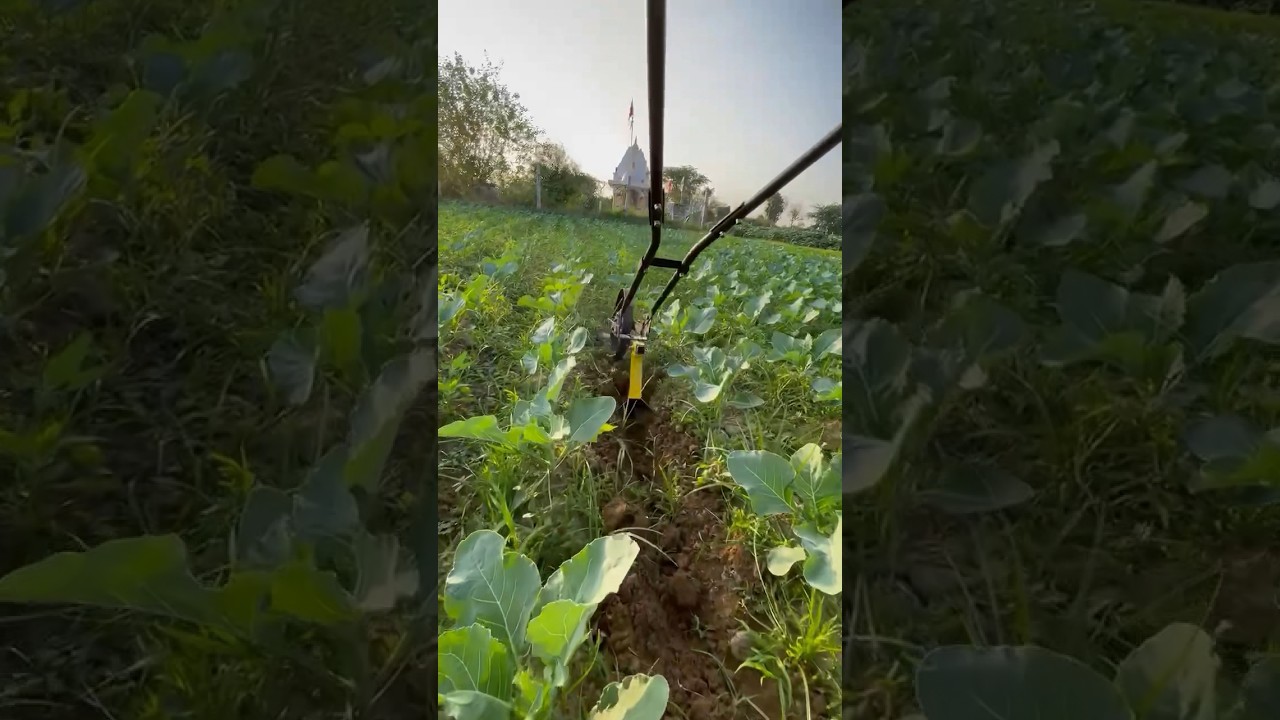 WHEEL HOE WITH ATTACHMENT #wheelhoe#1million #viralreels #trending #farming #agriculture