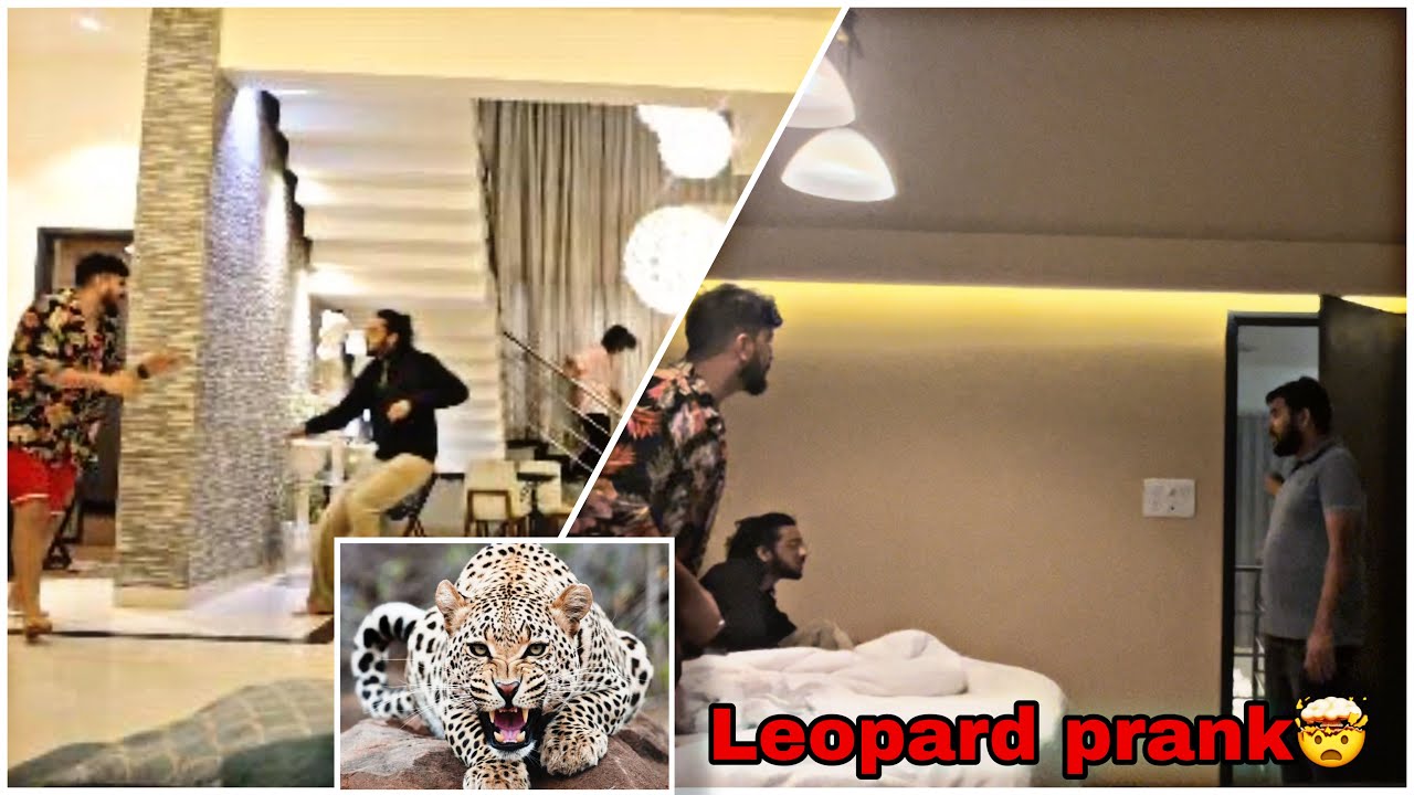 LEOPARD ATTACK PRANK ON BEST FRIENDS🐆🤯 | RUSHI DAVE