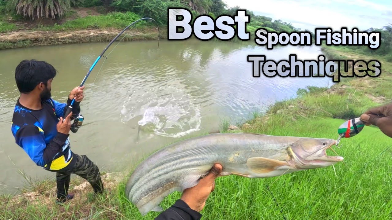 Best Pathan fish Hunting Tips||Big Wallago Catfish fishing Techniques||Spoon Fishing Karne Ka Tarika