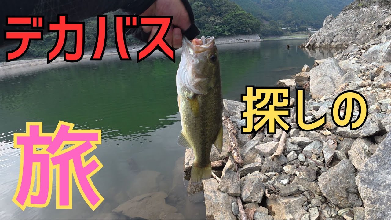 デカバス探しの旅