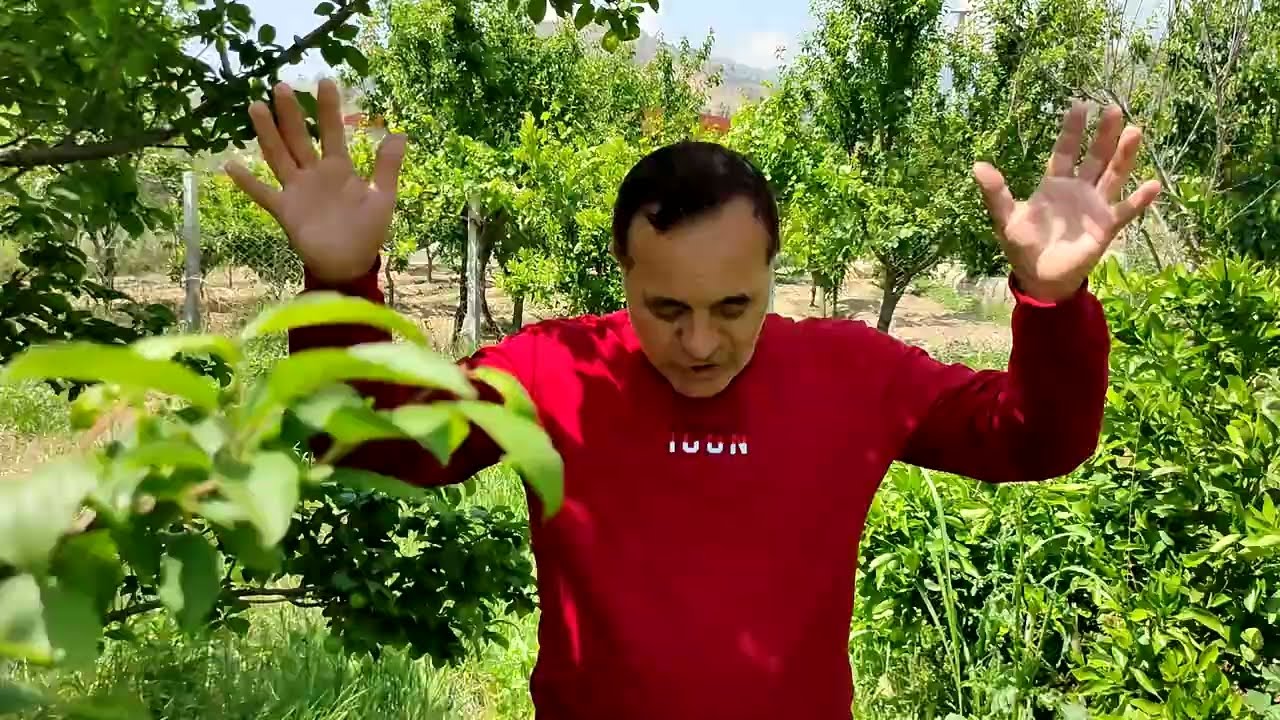 AYDIN'NIN GÖBEĞİNDE 850MK SATILIK ARSA İÇERİSİ MEYVE AĞACI DOLU FİYATI ÇOK UYGUN ! 0532 060 9193