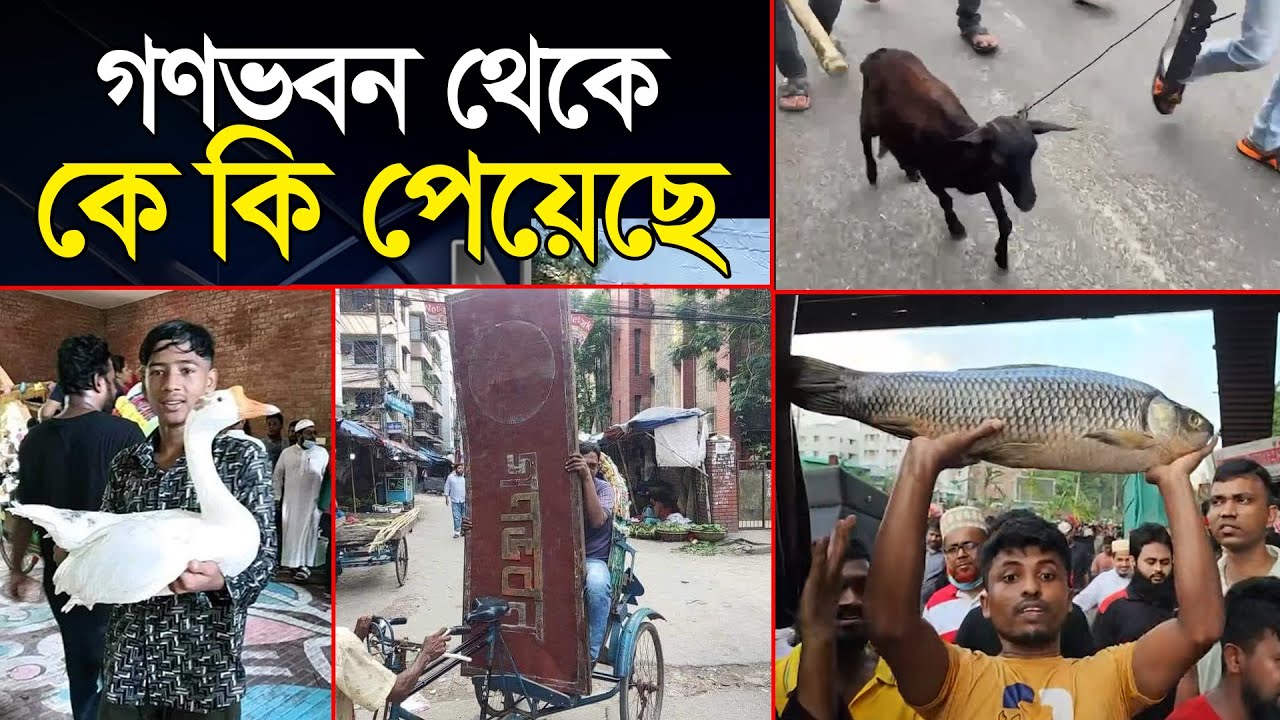 গণভবন থেকে কে কি পেয়েছে? | Gonovobon | Government Change | sheikh hasina | Quota | Noakhali tv