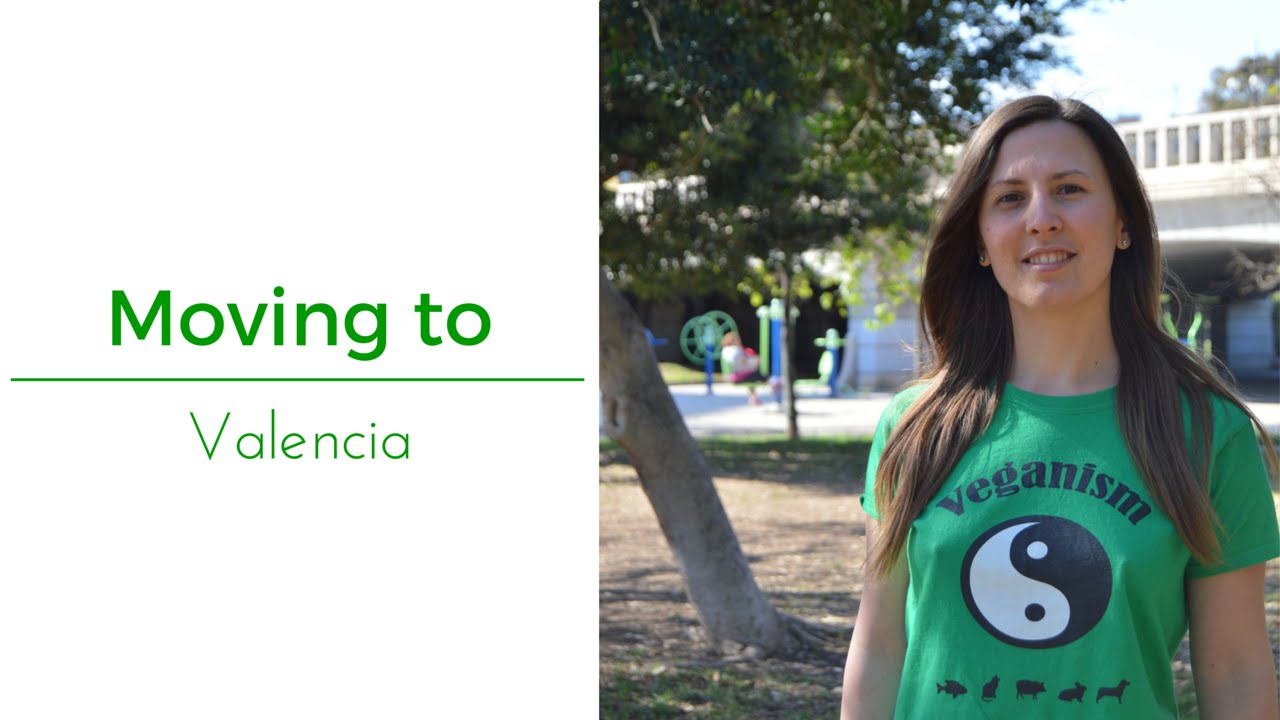 Moving to Valencia (Spain)